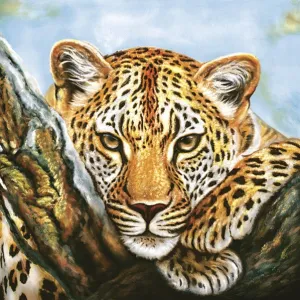 Serwetki mix bibuła [mm:] 330x330 Pol-mak (SL og)