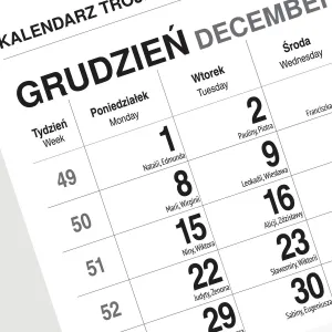 Kalendarz ścienny KOT 310mm x 790mm Press