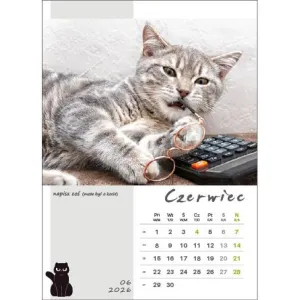 Kalendarz ścienny KOT W BIURZE WIELOPLANSZOWY A3 Jotan (WP136)