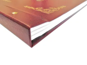 Kronika Warta KRONIKA ZŁOCONA POZIOM - mix 100k. 345mm x 255mm (319-029,030,031,032)