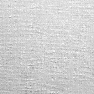 Papier ozdobny (wizytówkowy) A4 biały 246g Protos