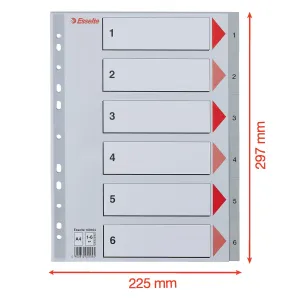 Przekładka numeryczna A4 szara 6k 1-6 Esselte (100104)