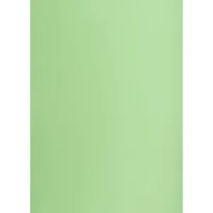 Brystol Creatinio groszkowy B1 groszkowy 225g 1k (400150266)