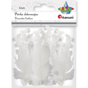 Piórka Craft-Fun Series biały 6 szt Titanum