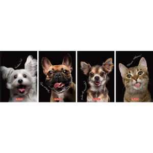 Brulion Crazy Animal A6 80k. 70g krata Herlitz (400196850)