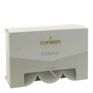 Świeca pieńkowa 5x5cm 6szt., w kolorze Grey Pavoncella (8720935400899)