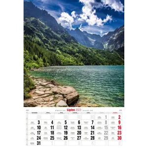 Kalendarz ścienny Avanti wieloplanszowy paskowy 285mm x 420mm (5901769620827)