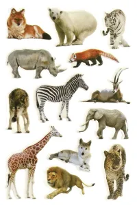 Naklejka (nalepka) Titanum Craft-Fun Series Zwierzęta (PPB03)