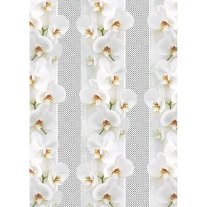 Papier ozdobny Pol-mak - mix 700mm x 1000mm