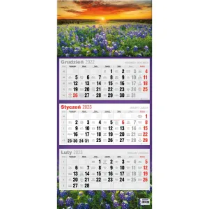 Kalendarz ścienny Avanti mix (5902641330056)