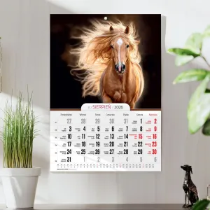 Kalendarz ścienny A4 KONIE A4 Press (5904830713398)