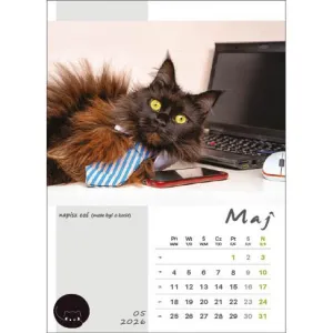 Kalendarz ścienny KOT W BIURZE WIELOPLANSZOWY A3 Jotan (WP136)