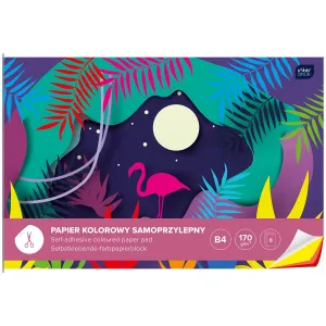 Zeszyt papierów kolorowych Interdruk samoprzylepny B4 170g 8k 250mm x 350mm (ZEPKB4SP)