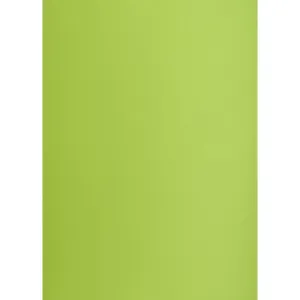 Brystol TOP-2000 A1 jasnozielony 160g 25k 610mm x 860mm (400149557)