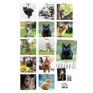 Kalendarz ścienny Avanti wieloplanszowy paskowy 285mm x 410mm (5901769621091)