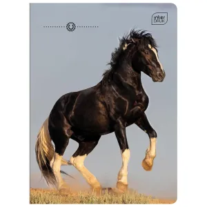 Zeszyt GIRLS A5 32k. 70g linia kolor Interdruk