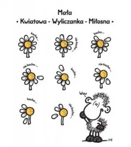 Kartka składana Kukartka Sheepworld B6 148mm x 105mm