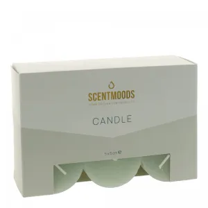 Świeca pieńkowa 5x5cm 6szt., w kolorze Green Pavoncella (8720935400905)