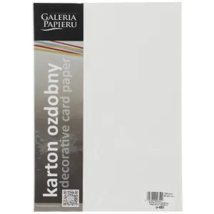 Papier ozdobny (wizytówkowy) A4 pacific biały biały 200g Galeria Papieru (204001)