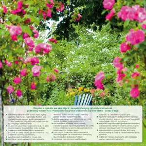 Kalendarz ścienny Avanti wieloplanszowy 300mm x 600mm (5901769620407)