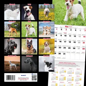 Kalendarz ścienny Avanti wieloplanszowy 300mm x 600mm (KAD-10)