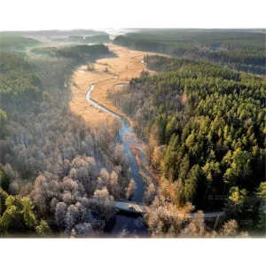 Kalendarz ścienny LASY POLSKIE 13-planszowe 2024 320mm x 470mm Lucrum (RW04)