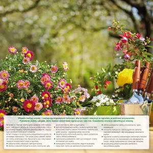 Kalendarz ścienny Avanti wieloplanszowy 300mm x 600mm (5901769620407)