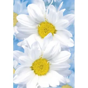 Bileciki do upominków, prezentów, kwiatów Pol-Mak 55 x 77 mm mix wzorów