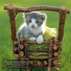 Kalendarz ścienny Avanti wieloplanszowy 300mm x 300mm (KAD-9)