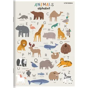 Zeszyt megamix A5 16k. 70g podwójna linia kolor Top 2000 (400168845)