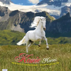 Kalendarz ścienny Avanti wieloplanszowy 300mm x 600mm (KAD-11)