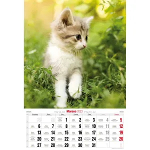 Kalendarz ścienny Avanti wieloplanszowy paskowy 285mm x 410mm (5901769621091)