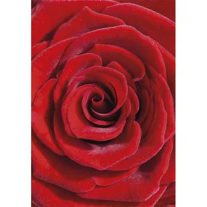 Bileciki do upominków, prezentów, kwiatów Pol-Mak 55 x 77 mm mix wzorów