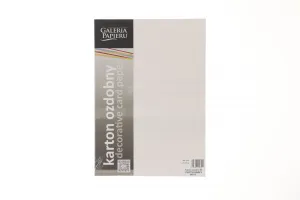 Papier ozdobny (wizytówkowy) A4 płótno białe biały 240g Galeria Papieru (202121)