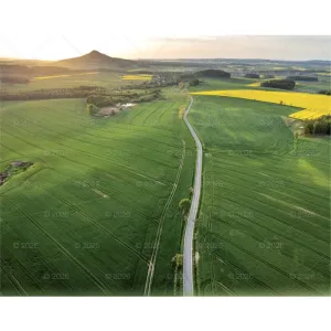 Kalendarz ścienny LASY POLSKIE 13-planszowe 2024 320mm x 470mm Lucrum (RW04)