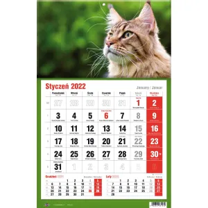 Kalendarz ścienny Avanti trójdzielne (5901769620582)