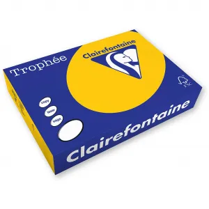 Papier kolorowy Trophee A4 - złoty 80g (xca41780)