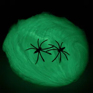 Dekoracja Świecąca w ciemności pajęczyna z pająkiem Arpex (HA2318)