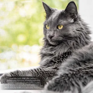 Kalendarz ścienny Avanti wieloplanszowy 300mm x 300mm (KAD-9)