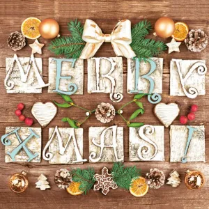 Serwetki Pol-mak gwiazdka - mix 330mm x 330mm (Sd GW)