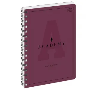 Kołozeszyt (kołobrulion) Interdruk ACADEMY A4 100k. 90g krata (5902277299345)