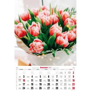 Kalendarz ścienny Avanti wieloplanszowy paskowy 285mm x 420mm (5901769620476)