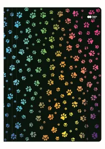 Teczka kartonowa na gumkę mix [mm:] 240x310 Happy Color (HA 7621 2431-MA1)