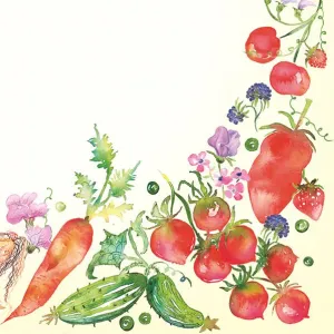 Serwetki mix bibuła [mm:] 330x330 Pol-mak (SL og)