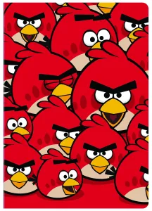 Kołozeszyt (kołobrulion) Interdruk ANGRY BIRDS A5 80k. krata