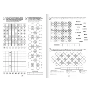Książka dla dzieci Ciekawe zadania do głowy łamania. Krzyżówki, wykreślanki, szyfrogramy 10+ Aksjomat
