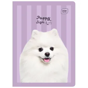 Zeszyt A5 16k. 70g krata Interdruk