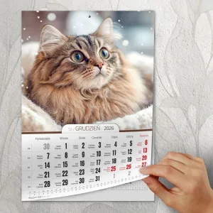 Kalendarz ścienny A4 KOTY A4 Press (5904830713381)