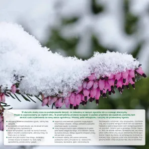 Kalendarz ścienny Avanti wieloplanszowy 300mm x 600mm (5901769620407)