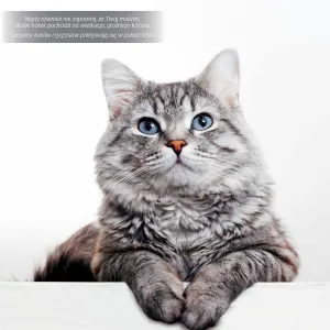 Kalendarz ścienny Avanti wieloplanszowy 300mm x 300mm (KAD-9)